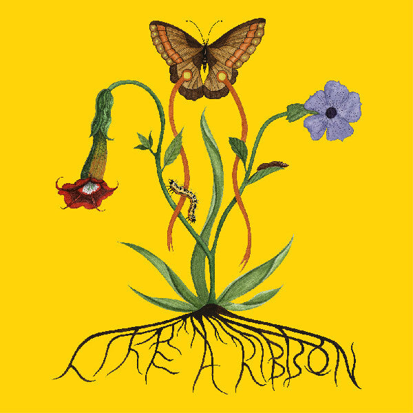 Like A Ribbon
